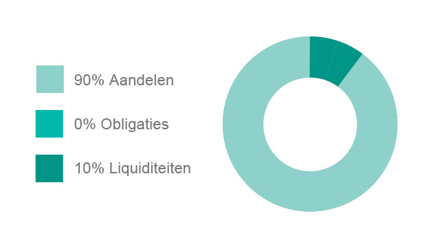 Zeer offensief beleggen verdeling